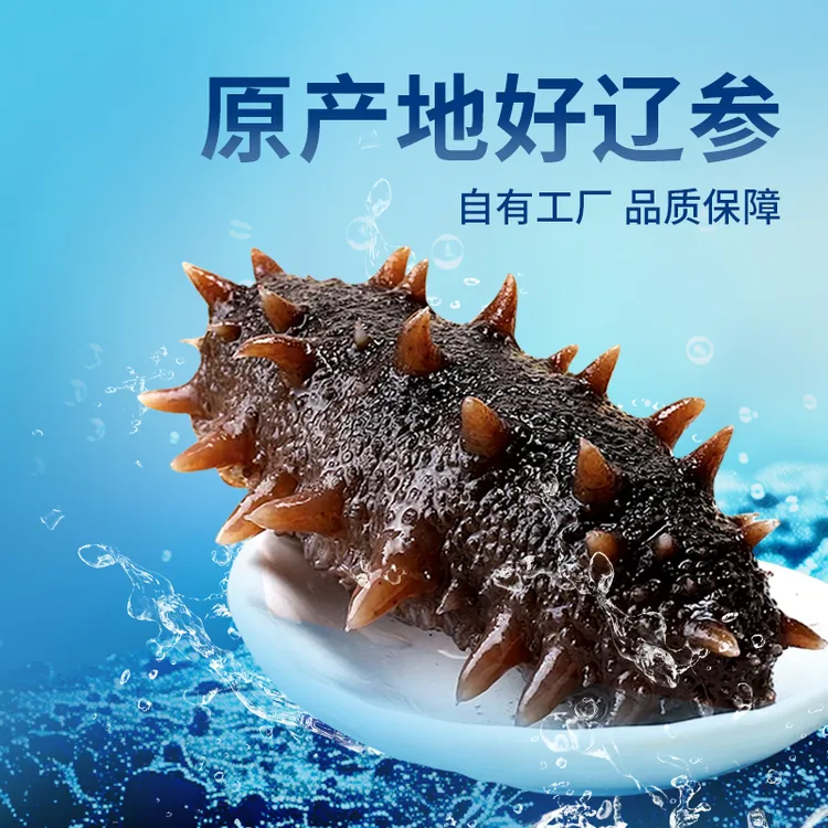 鲤鲤壹正宗大连辽参鲜食即食海参源头工厂大连海参中秋国庆送礼