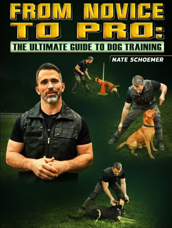 内特 肖默训犬大师从入门到精通中文课程