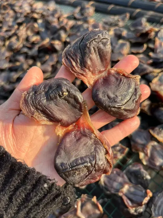 【高货鸭肾】虎门白沙传承手艺特产生晒天然干腊鸭肾陈肾煲汤煲粥