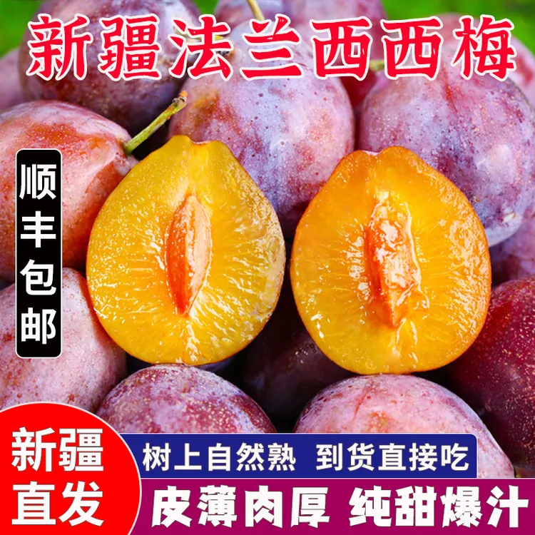 正宗新疆西梅法兰西喀什新鲜水果当季整箱甜顺丰空运伽师特级礼盒