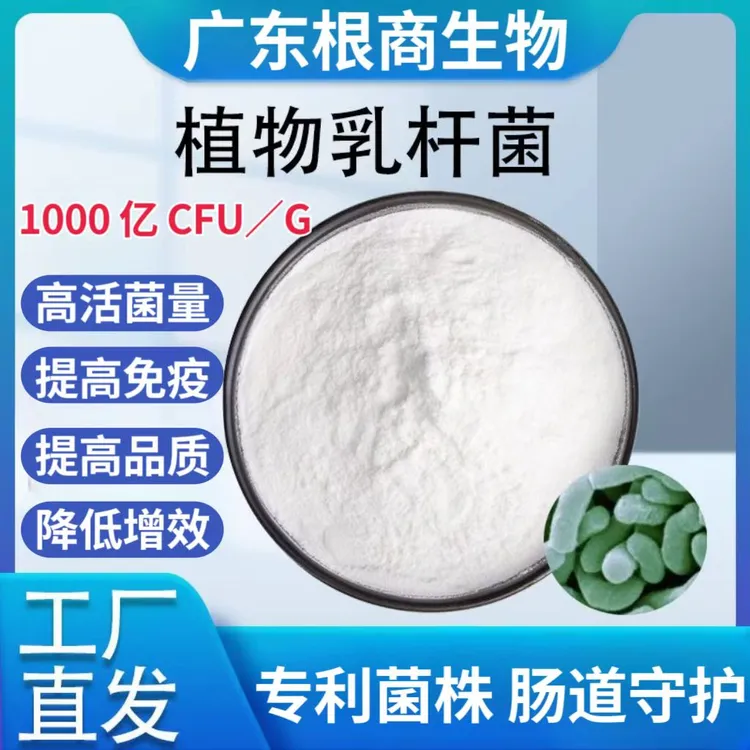 植物乳杆菌益生菌发酵乳酸菌粉兽用饲料添加剂牛羊鸡鸭鱼适用菌种