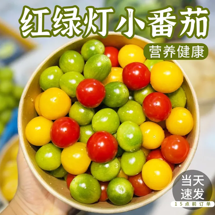 【红绿灯小番茄】三色小番茄3斤黄金圣女果千禧柿子甄选西红柿5