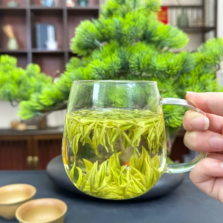 2025年（天荒坪极白小芽）鲜爽安吉白茶兰花香带奶香原产地高山白茶