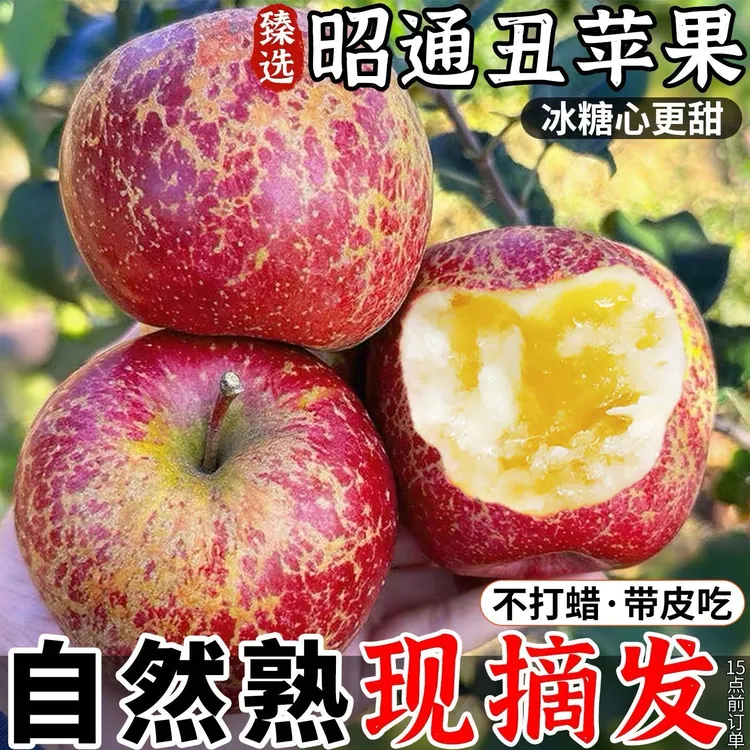 【云南昭通丑苹果】正宗糖心脆甜多汁产地直发现摘现发2025