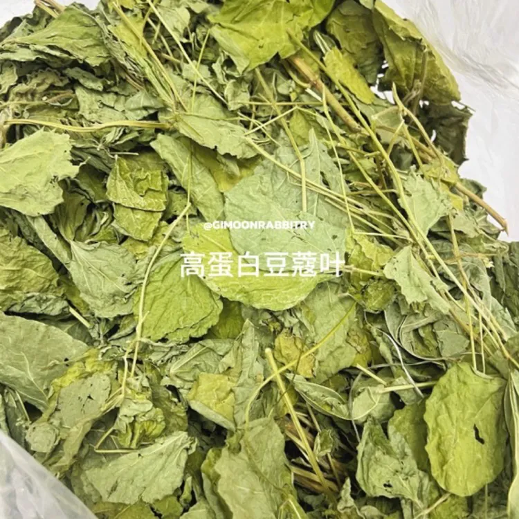 豆蔻大圆叶｜25年兔兔｜高蛋白辅助发腮草