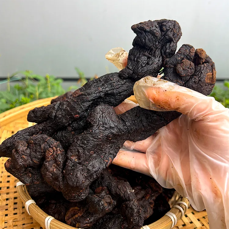 云南山货滇黄精 鸡头黄精 鸡头参农家古法