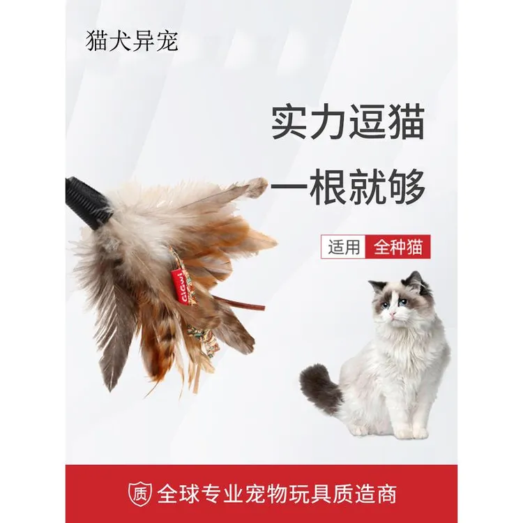 2025猫玩具自嗨解闷神器逗猫棒羽毛耐咬养猫幼猫宠物用品猫趣
