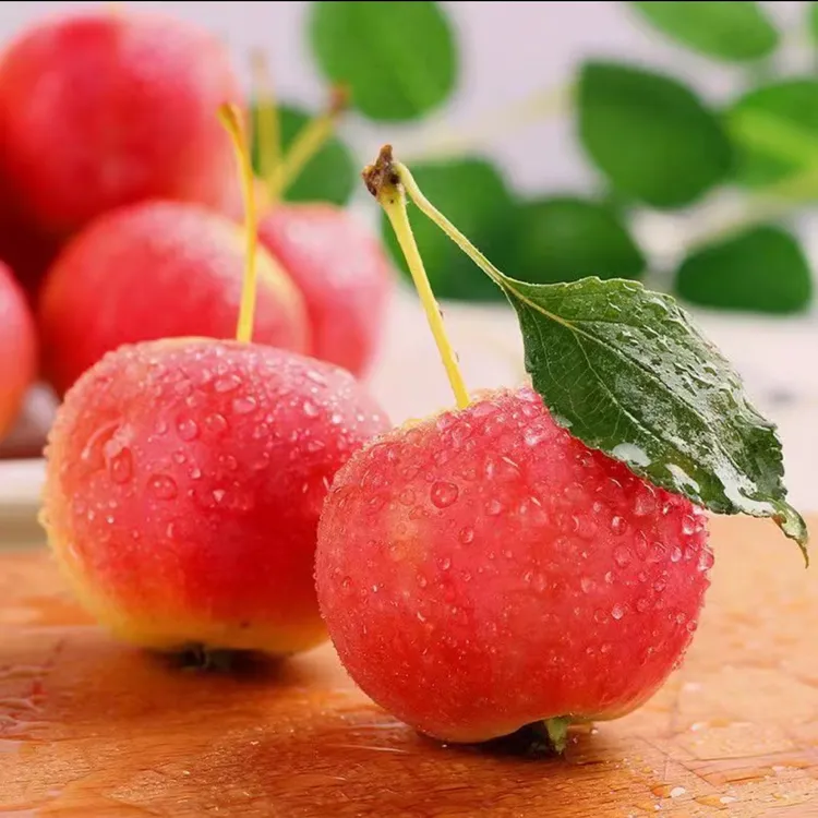 东北大沙果（顺丰发货）