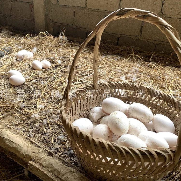 【自家农场】散养土鹅蛋狮头鹅新鲜大个鹅蛋草鹅稻子牧草活水