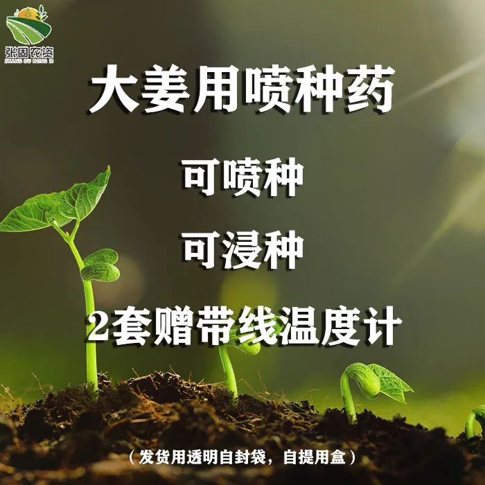 大姜 喷种浸种使用