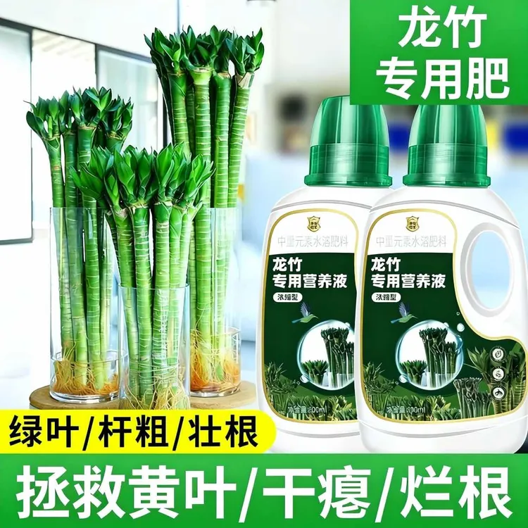 龙竹营养液浓缩型文昌竹叶子发黄水培植物生根肥富贵竹