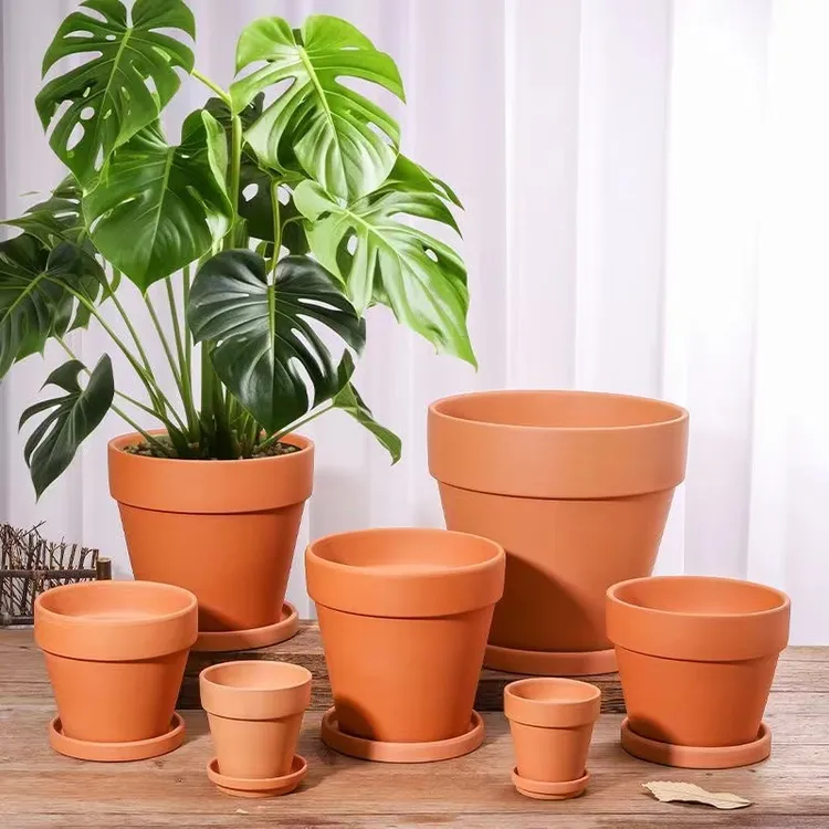 红陶国际花盆陶土粗陶透气大口径多肉陶瓷绿植兰花盆泥瓦育苗盆栽