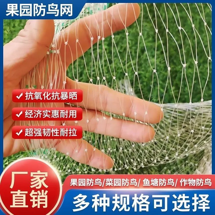 防鸟网新款防小鸟冰雹大棚蔬菜养殖果园专用防护天网厂家直销批发