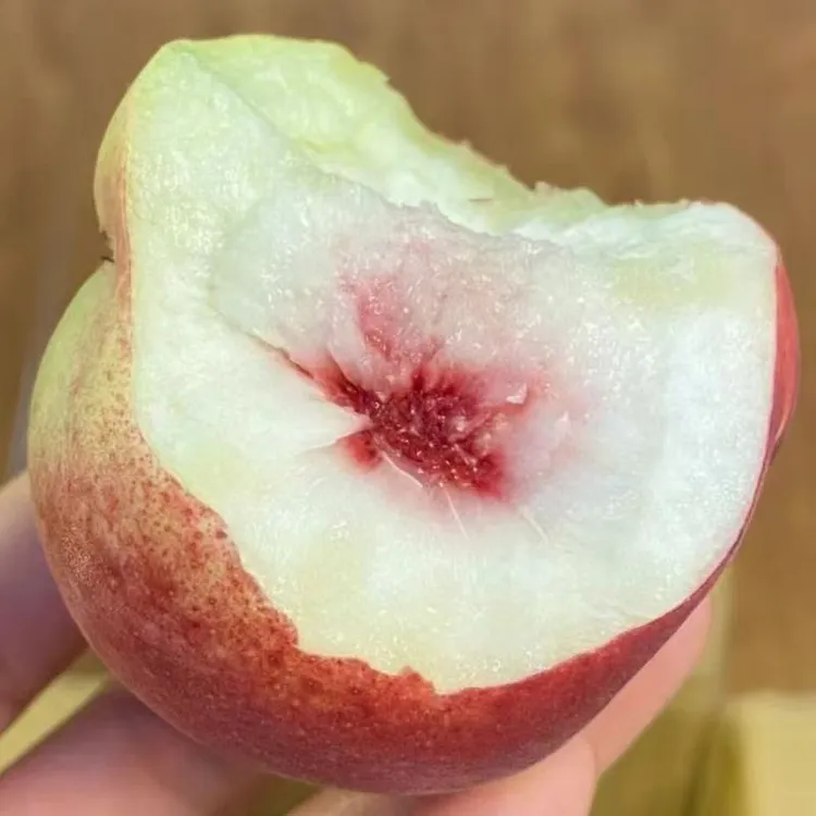 映霜红蜜桃子现摘新鲜桃子秋桃苹果水蜜桃毛桃脆甜应季水果礼盒