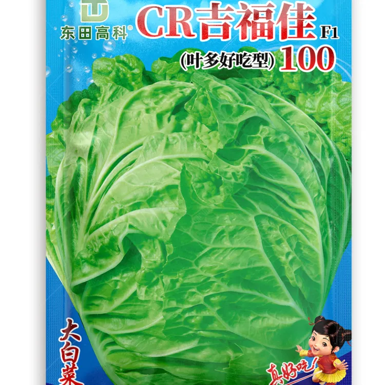 CR吉福佳100东田白菜种子抗病适应区域广山东白菜种子