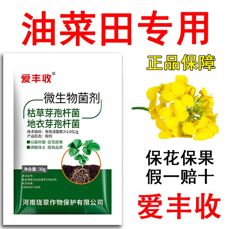 油菜田专用微生物菌剂油菜微生物肥料保花保果快速复绿微生物肥料