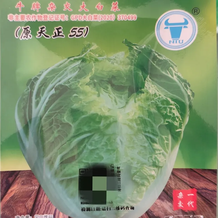 鲁厦秋55大白菜种子天正55晚夏早秋播种白菜种子夏秋大白菜种子