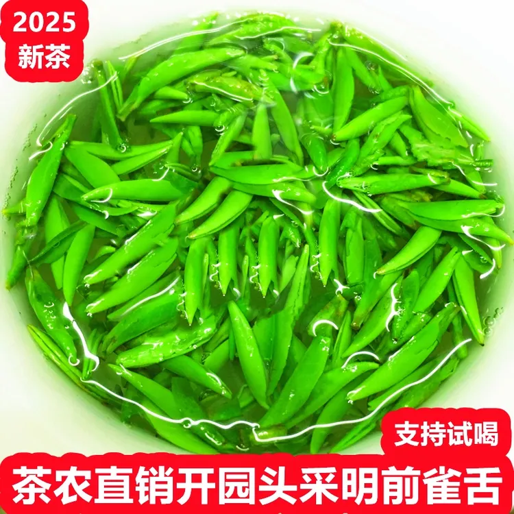头春头采产地贵州湄潭春茶雀舌茶叶小米芽绿茶雀舌2025新茶