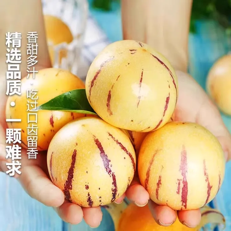 云南石林人参果当季水果人心果娃娃果黄肉人果七彩人生果特产MZ