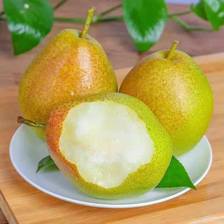 山东新头茬阳信媚梨七号皮薄清脆纯甜无渣梨4.5-5斤装