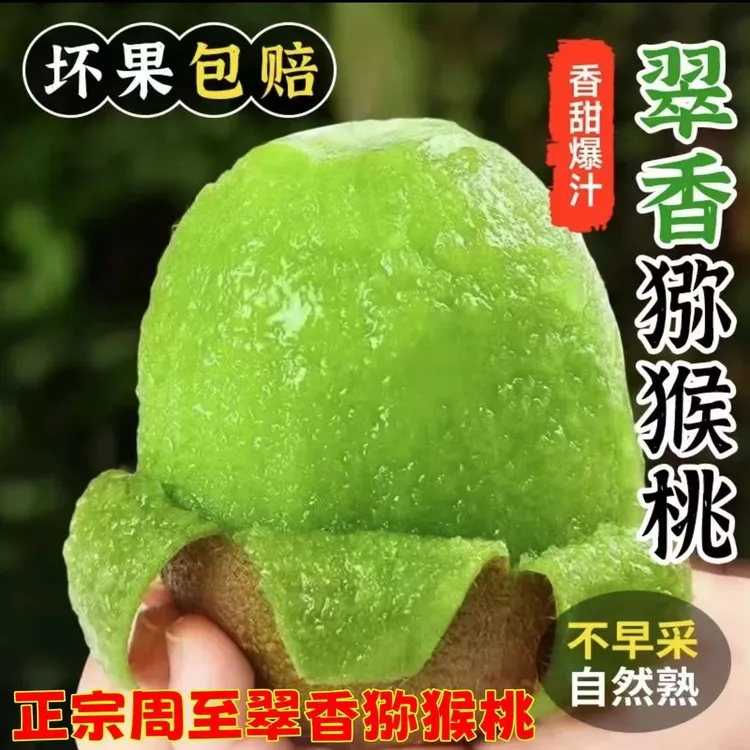 （新疆顺丰包邮）周至翠香猕猴桃香甜可口当季甜糯产地批发发货