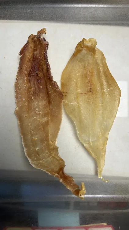 正三门 土鳘公母混胶