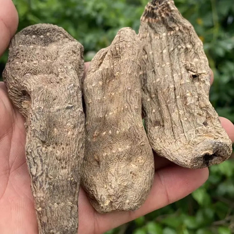 1天麻小天麻乌天麻泡酒煲汤