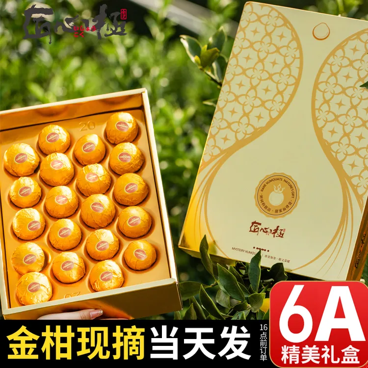 匠心极脆蜜金桔6A新鲜水果当季整箱顺丰礼盒