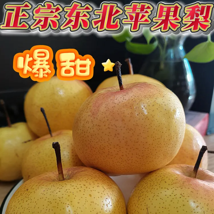 【顺丰】苹果梨脆梨东北高山苹果梨冻梨2025新梨