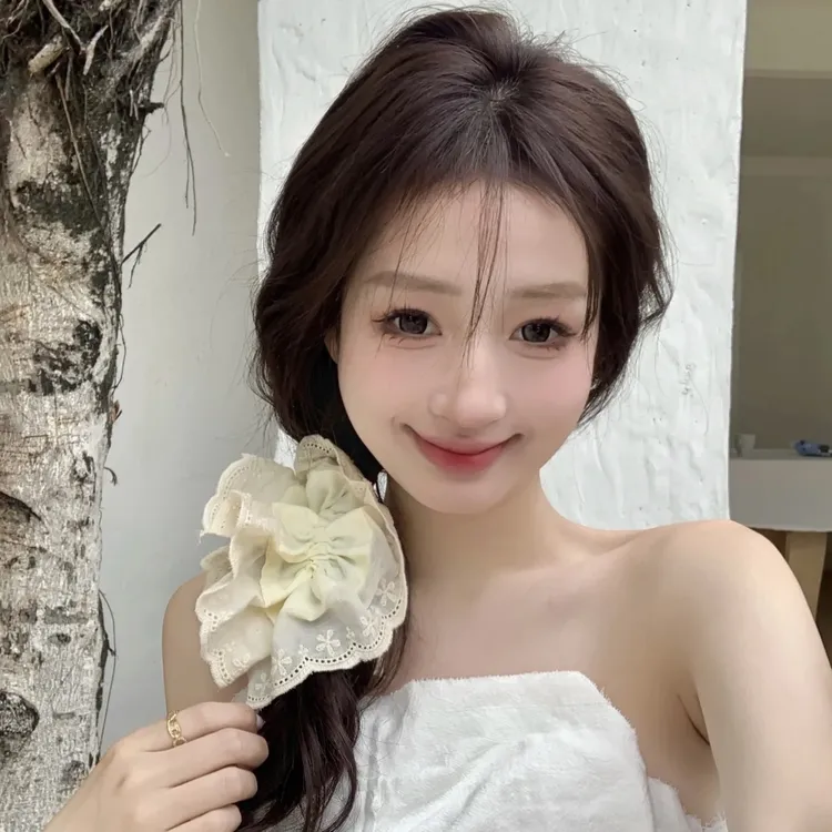 法式优雅蕾丝大号抓夹发量多鲨鱼夹抓夹芭蕾风头饰盘发夹子发饰