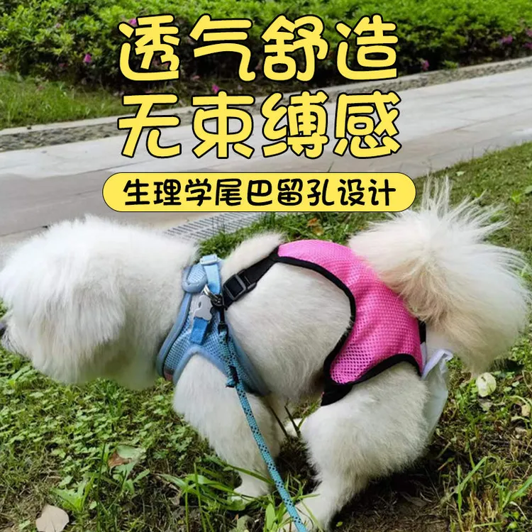 挂脖式狗狗收便裤自动集便袋老年狗狗老龄犬宠物拾便袋狗狗捡屎袋