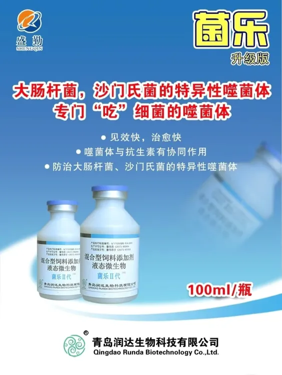 菌乐噬菌体大肠杆菌浆膜炎腹膜炎沙门氏菌包心包肝