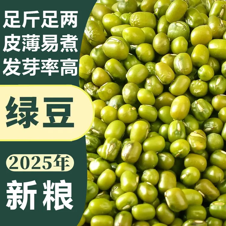 秦岭陕西大绿豆农家自产2025年新鲜绿豆颗粒饱满煲汤粥营养发豆芽