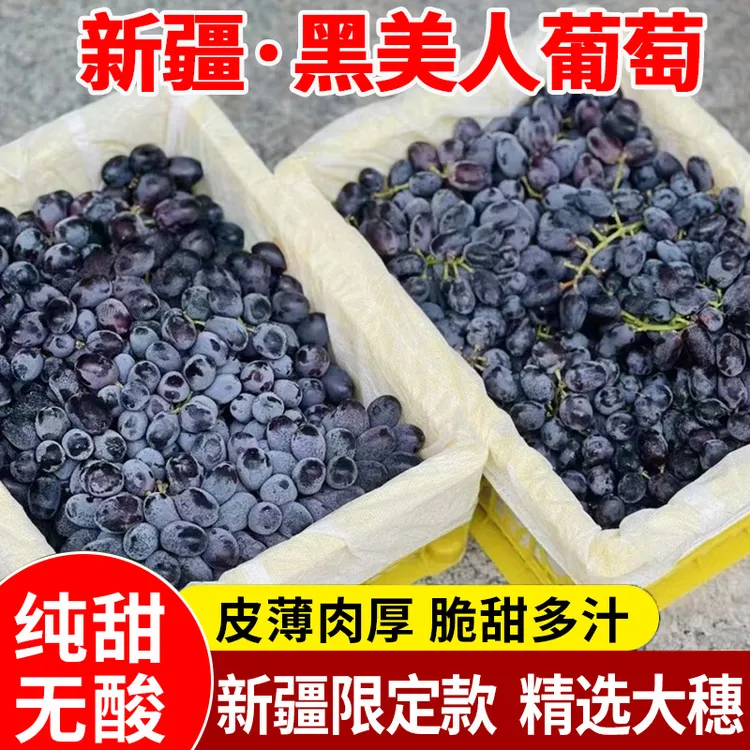 正宗新疆吐鲁番黑美人葡萄5斤当季新鲜现摘无籽甜黑加仑孕妇水果