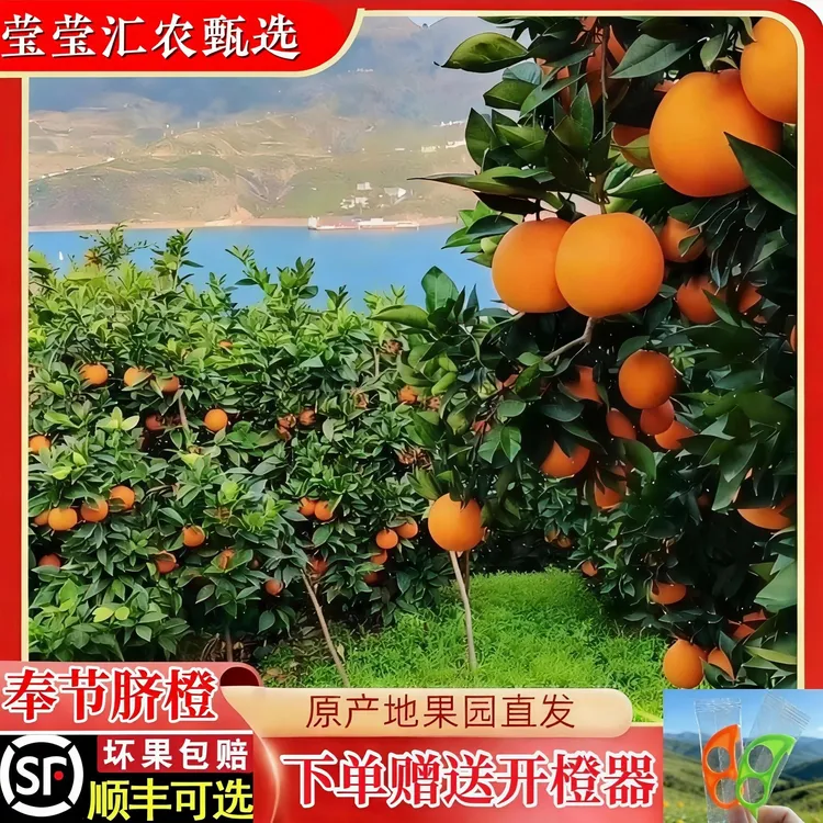重庆奉节脐橙5/10/20斤橙子新鲜好果应季水果圆虹纽荷尔产地直发