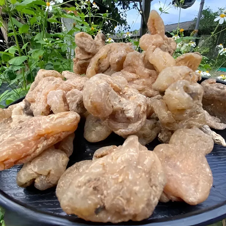 高山特产珍藏玉精灵250g500g 熹菊山房专属 可搭配枸杞