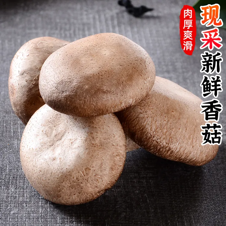 【肉厚爽滑】新鲜香菇0.5斤-5斤采摘菌菇蘑菇煲汤火锅菜冬菇蔬菜