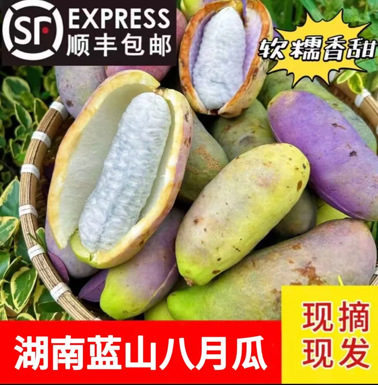 蓝山小糖家八月瓜当季新鲜现摘软糯香甜顺丰包邮