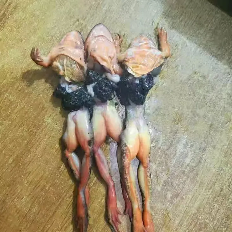 去油带籽蛙 新鲜速冻