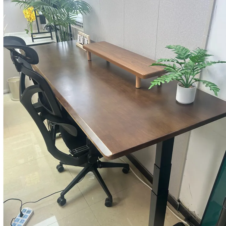 【直播间样品补贴出售】双电机智能电动升降桌