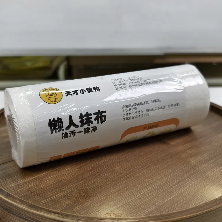 丽州热销懒人抹布一次性厨房抹布家用一次性干湿两用抹布吸油抹布