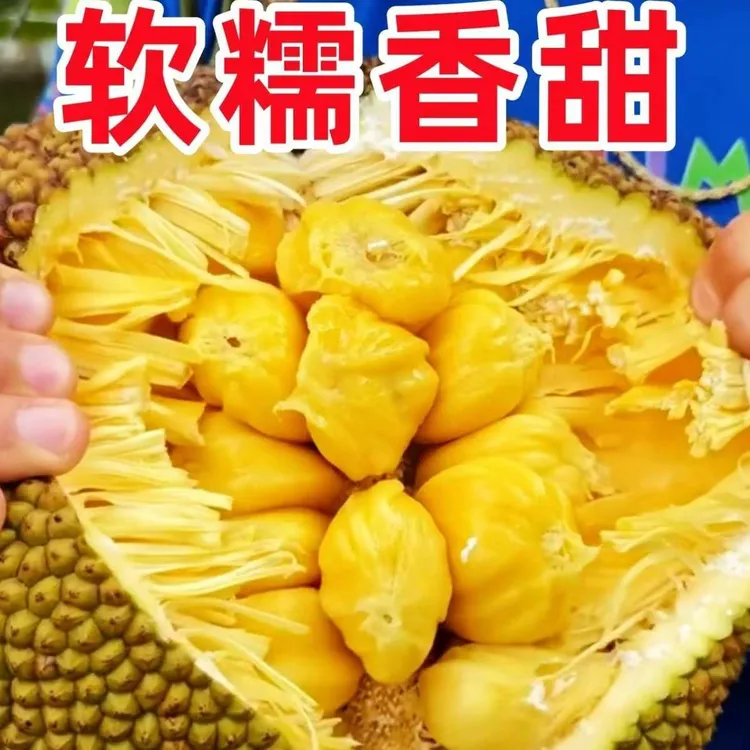 （顺丰包邮）广西应季新鲜榴莲蜜（放熟放软再吃）