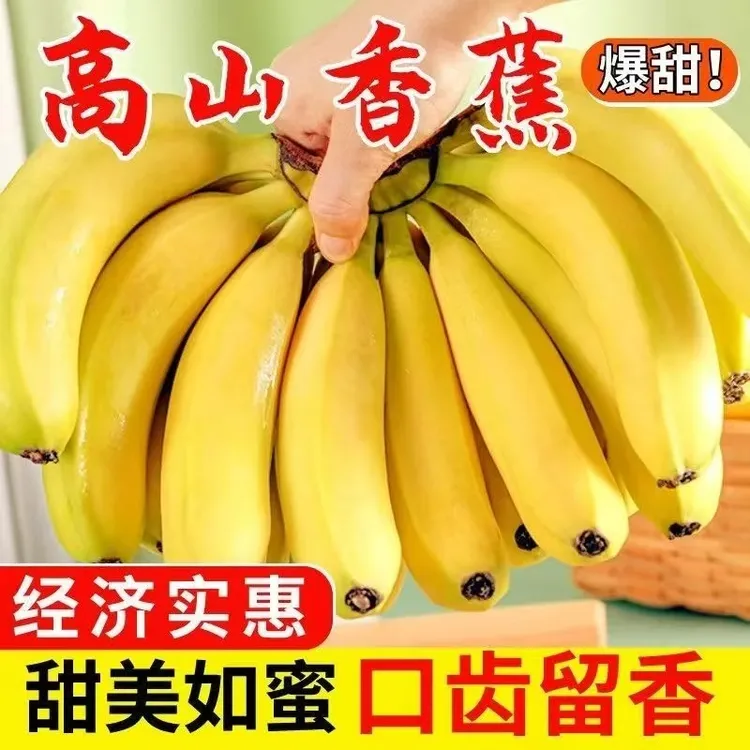 【冲量福利】威廉斯高山甜蕉广西产地直发新鲜水果5斤绿皮香蕉批发