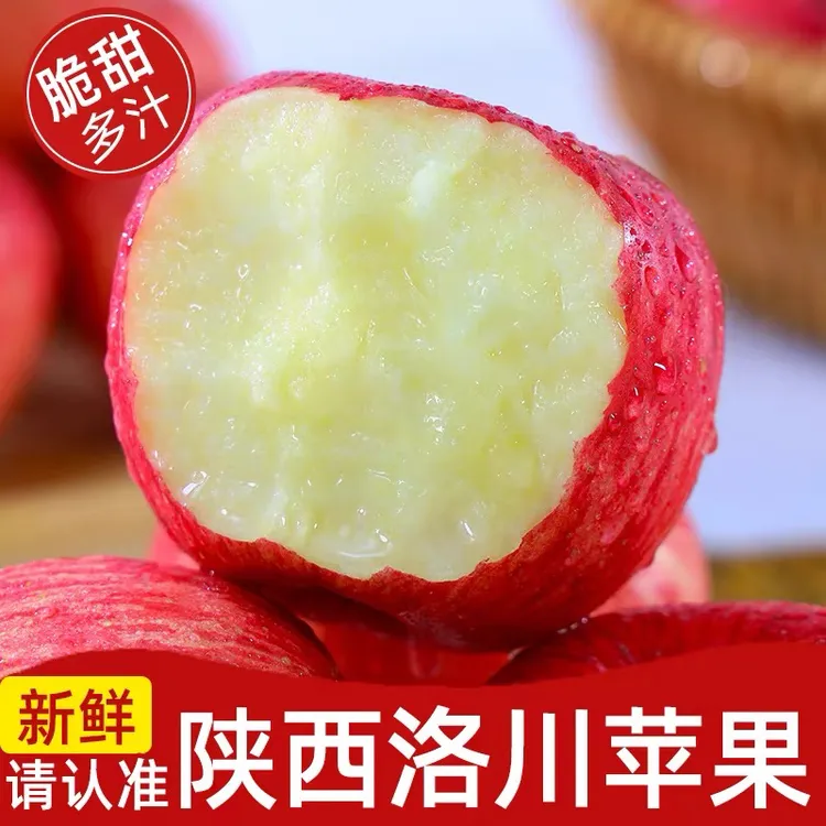 【乡村振兴】 2025年陕西洛川晚熟红富士
