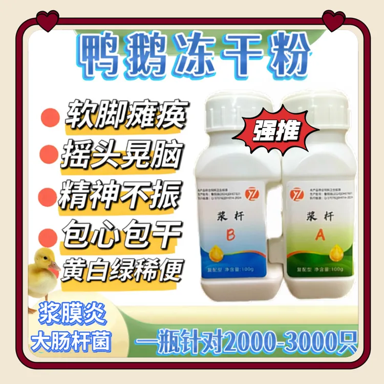 鸡鸭鹅鸽兽用正品冻干粉解决包心包肝脚软瘫痪饲料添加剂