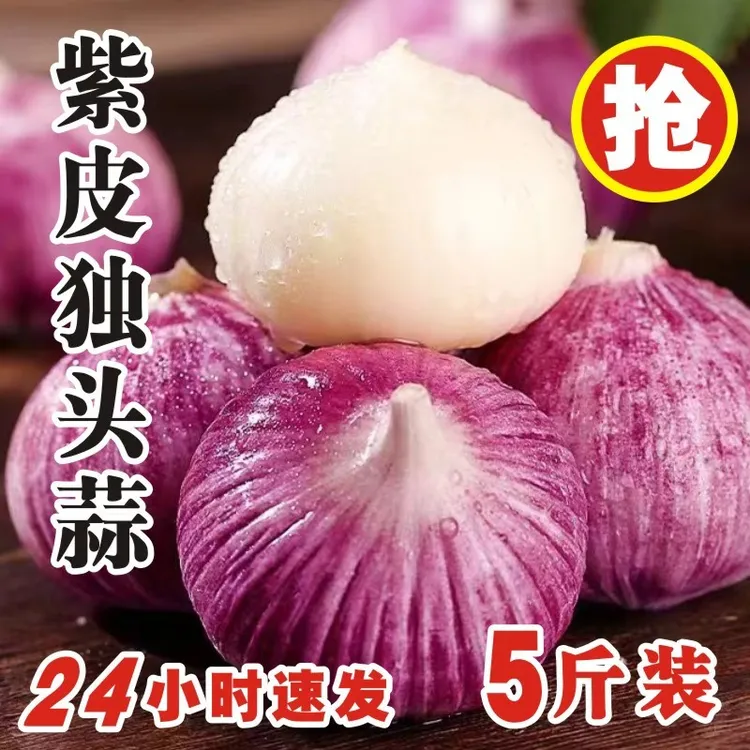 紫皮独头蒜2025年新鲜干蒜大蒜头蒜红珍珠独头蒜辣蒜辛辣十足