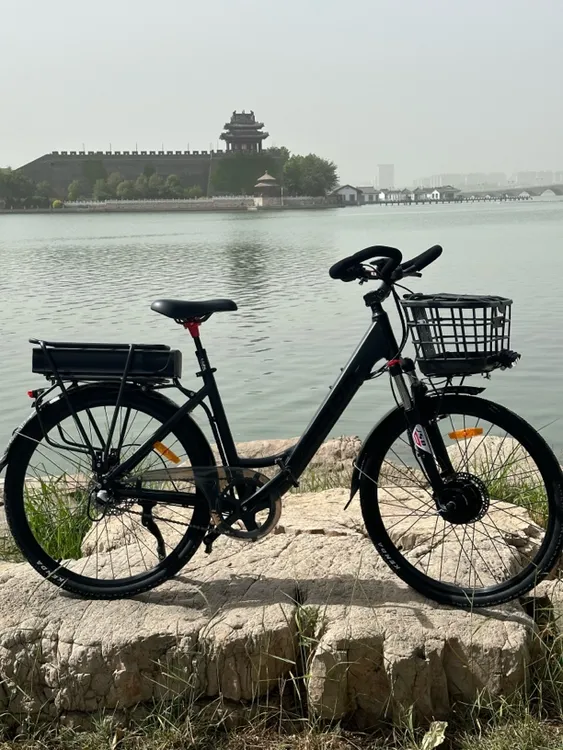 广东黑金刚内三自行车