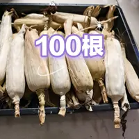 量拍-批发-100根带皮毛料 文玩玉米 回家自己开