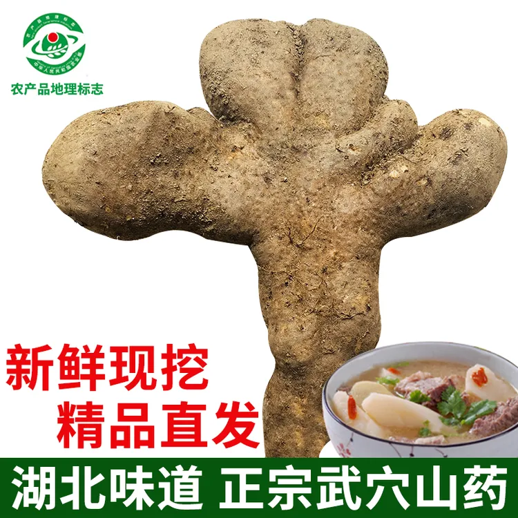 湖北武穴梅川佛手山药特产农产品煲汤营养粉糯爽滑久煮不烂不糊锅