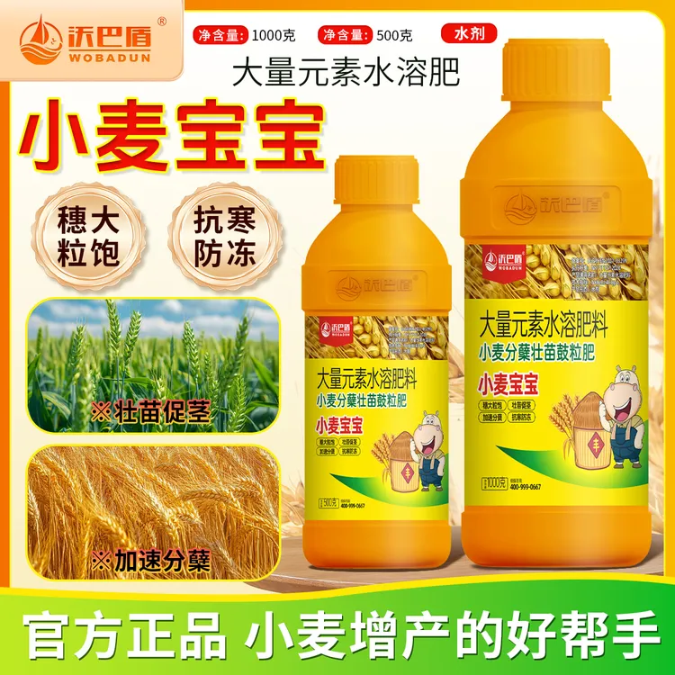 沃巴盾小麦宝宝大量元素水溶肥抗寒防冻促进小麦分蘖壮苗助力丰收